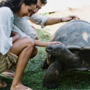 raffles-praslin-resort-guests-turtle raffles-praslin-resort-guests-turtle