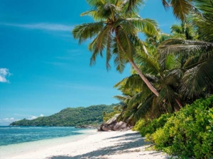 Anse-Forbans-Mahe-2 Anse-Forbans-Mahe-2