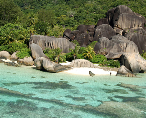Anse-Source-Argent-aerial-view Anse-Source-Argent-aerial-view