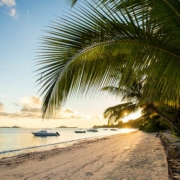 Indian-Ocean-Lodge-grand-anse-beach Indian-Ocean-Lodge-grand-anse-beach