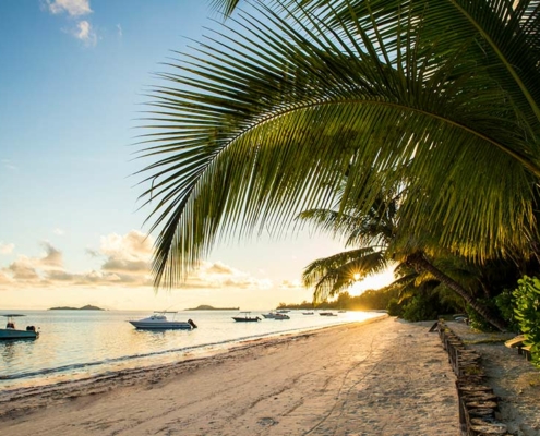Indian-Ocean-Lodge-grand-anse-beach Indian-Ocean-Lodge-grand-anse-beach