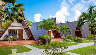 cat-La-Digue-Island-Lodge