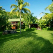 paradise-sun-hotel-tropical-garden paradise-sun-hotel-tropical-garden