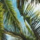 richard-quest-in-seychelles