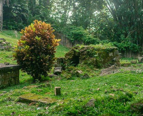 Bel Air Cemetery, image shows two graves